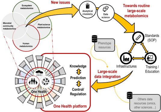 Please find our last review published in #TrAC on scaling-up #metabolomics in human and plant research. Special focus on methodological issues, #FAIRData + perspectives on #OneHealth. Thanks to @hajjar_ghina <a href="/EstellePujos/">Pujos-Guillot Estelle</a> <a href="/Metabohub/">Metabohub</a> - doi.org/10.1016/j.trac…