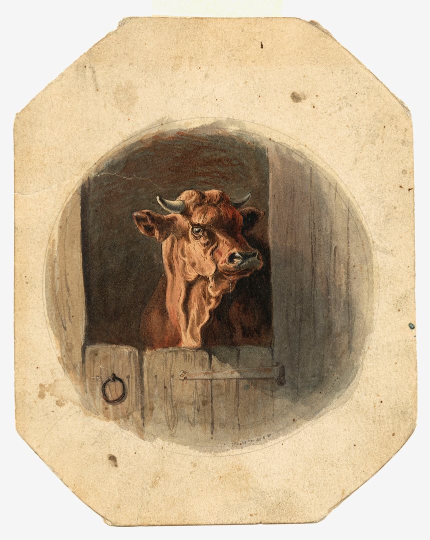 It's opening day at the Schaghticoke and Chatham fairs today!

Strolling through the livestock barns, you might encounter a friendly bovine.  Artist Will H. Low captured the strength and personality of this bull poking his head out of the stall c.1880.