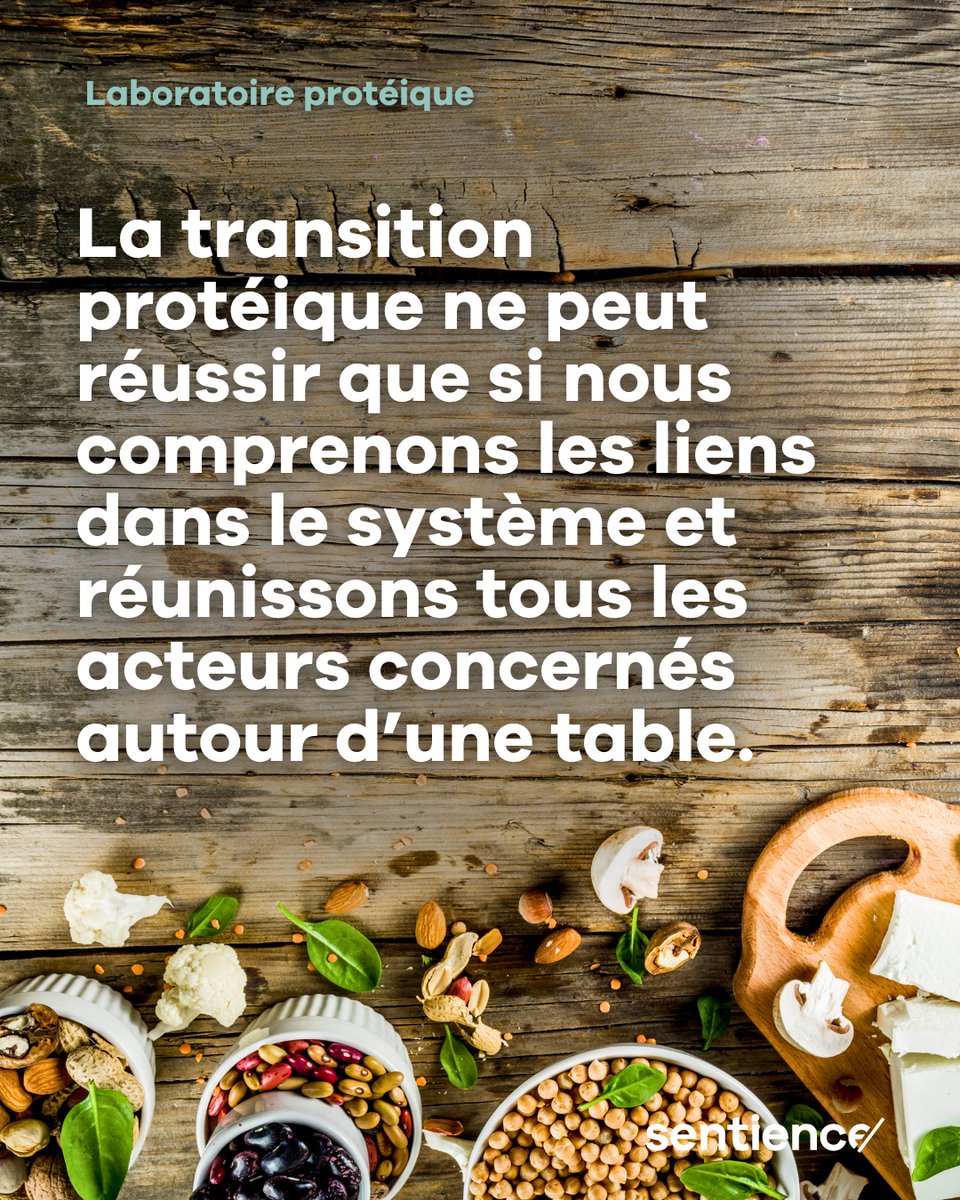 Sentiencesuisse's tweet photo. Ça y est – dans une semaine débute notre laboratoire protéique ! Nous attendons avec impatience la participation de nombreuses parties prenantes clés et sommes curieux·ses de connaître les résultats 🌱

@bfh_hesb @collaboratioCH https://t.co/pmNx6NWiQ4
