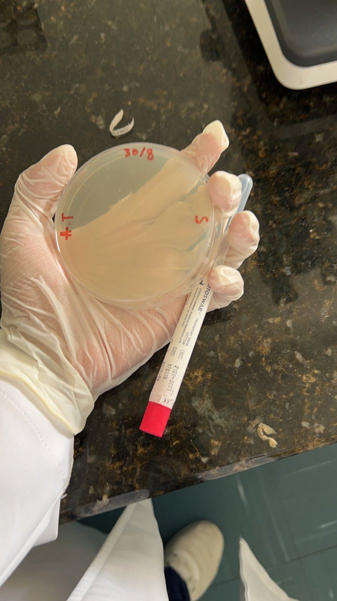 6ii5k's tweet photo. 🧫🦠 https://t.co/3nDOELiWKM