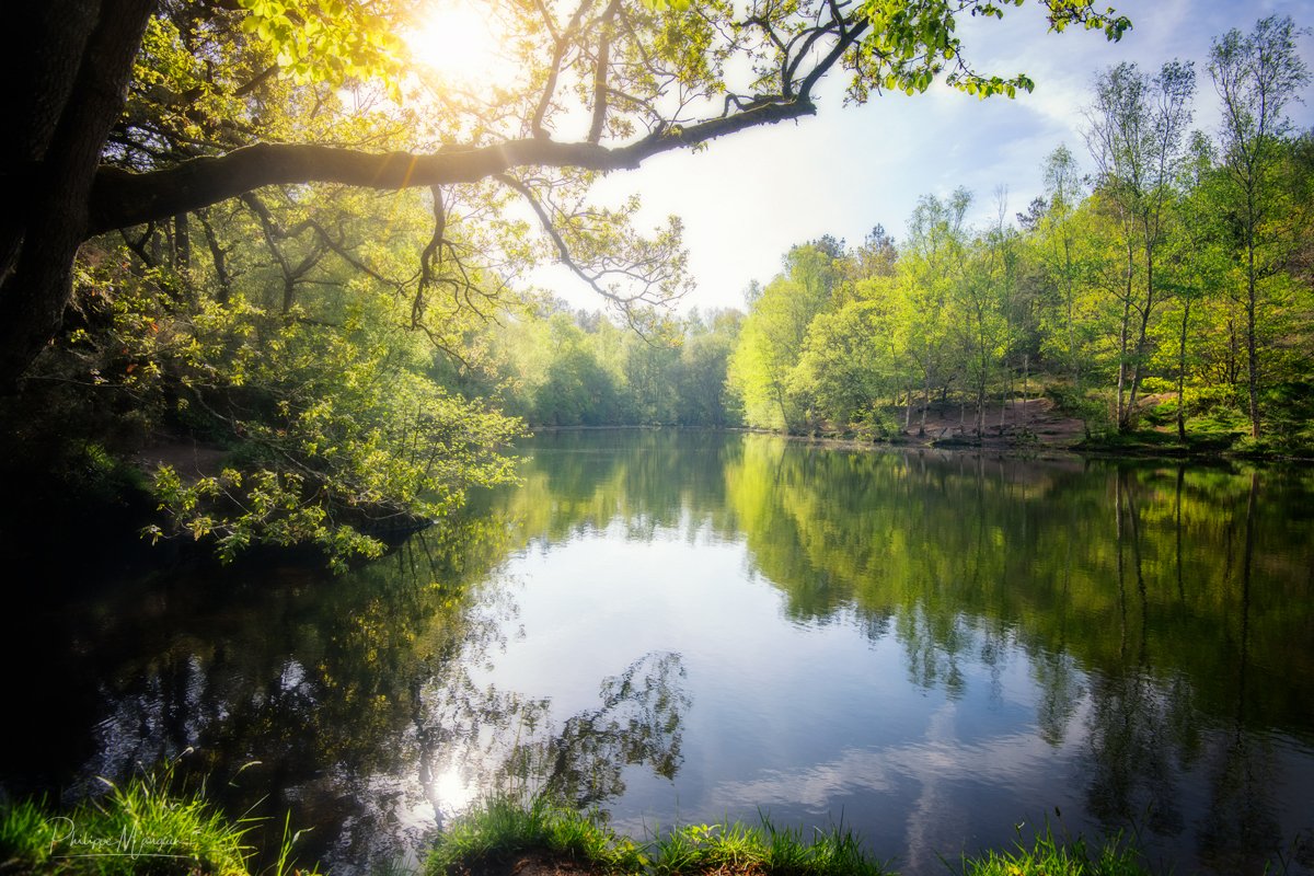 Autour du miroir aux fées - le Val sans retour #Broceliande #bretagne #Morbihan