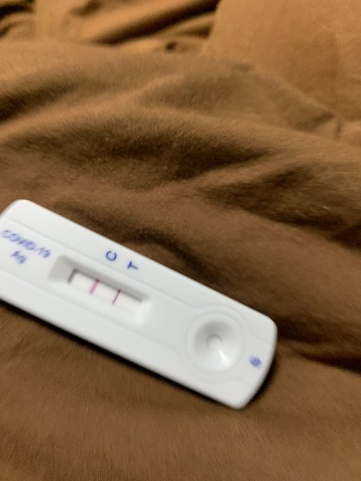 40度までブチ上がった時は流石にどうしようかと、安静です。 