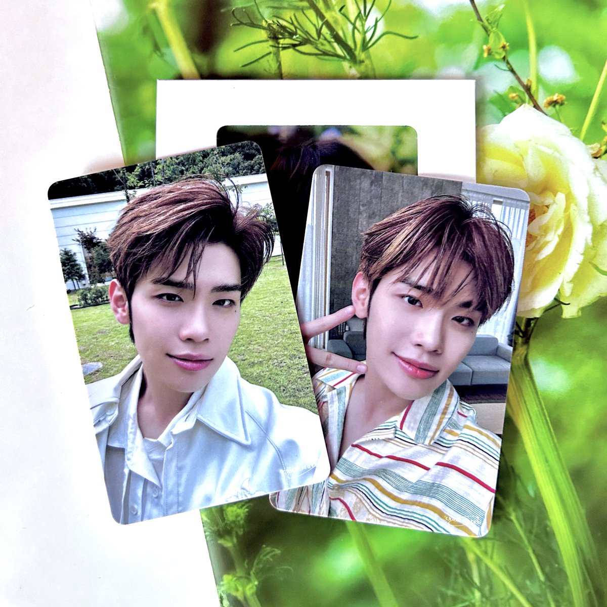 𝓉🌳𝒹𝒶𝓎’𝓈 𝓂𝒶𝒾𝓁 

Clean photocard Taerae🌱
