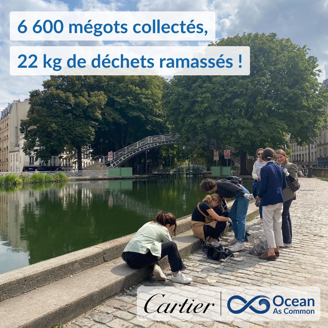 Ocean as common tweet media