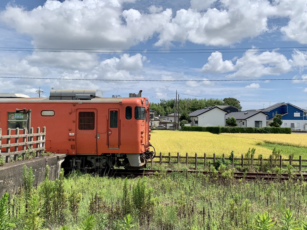 小湊鐵道の第一養老川橋梁と光風台駅！
たまたま撮れました✨✨😍
#小湊鐵道
#光風台駅
#第一養老川橋梁
#千葉県市原市
#鉄道好きな人と繋がりたい 
#写真好きな人と繋がりたい 
#千葉県のローカル線
#アイラブ千葉 
#千葉大好き
#気動車
#キハ40 
#鉄道風景写真
#traingallery_ig 
#ローカル線