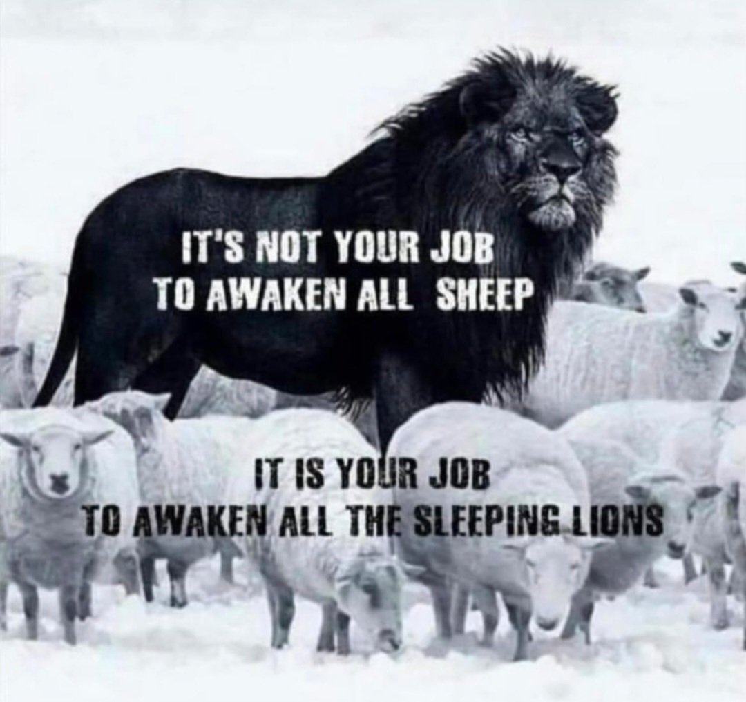 HumanNutriLife's tweet photo. Don't be a sheep just following all the other sheep πππππ.
Step out from the crowd. Be a lion π¦
#nutrition #healthyeating #carnivore #eatmeat #health #meatbased #animalbased #removeprocessedfood https://t.co/WkY2K2avaO