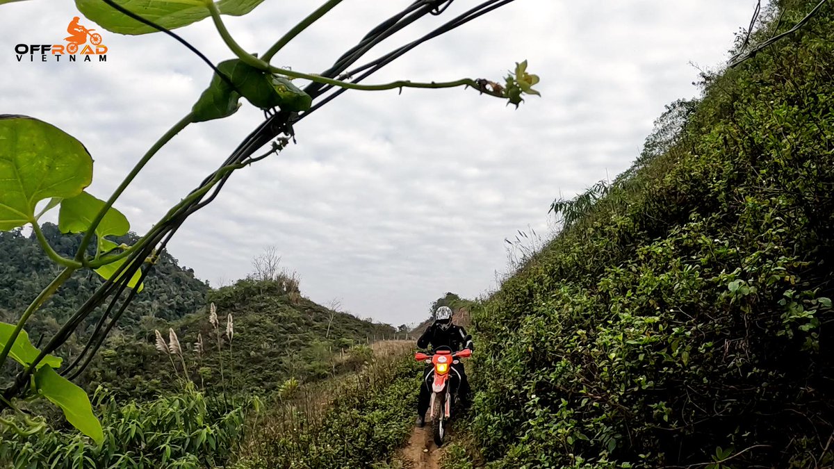 vietnambikers1's tweet photo. This is about experiencing life in a way that only a biker can understand, see fewer footprints. 📡

🧭 https://t.co/Cfp3sYZREg

#experiencinglife #fewerfootprints #joinbikercommunity #vietnam #xuhuong2023 #trending2023 #motorbike #tour #rental #honda #XR150L #CRF250L #CRF300L https://t.co/NbDZEBbVw3