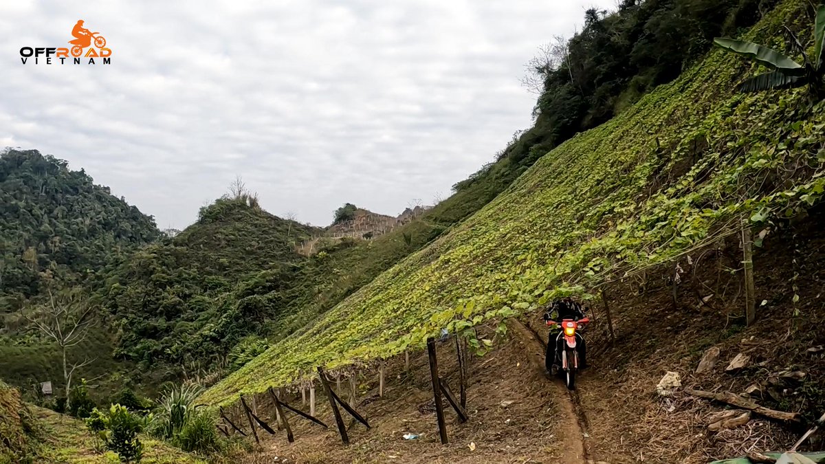 vietnambikers1's tweet photo. This is about experiencing life in a way that only a biker can understand, see fewer footprints. 📡

🧭 https://t.co/Cfp3sYZREg

#experiencinglife #fewerfootprints #joinbikercommunity #vietnam #xuhuong2023 #trending2023 #motorbike #tour #rental #honda #XR150L #CRF250L #CRF300L https://t.co/NbDZEBbVw3