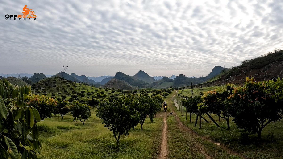 vietnambikers1's tweet photo. This is about experiencing life in a way that only a biker can understand, see fewer footprints. 📡

🧭 https://t.co/Cfp3sYZREg

#experiencinglife #fewerfootprints #joinbikercommunity #vietnam #xuhuong2023 #trending2023 #motorbike #tour #rental #honda #XR150L #CRF250L #CRF300L https://t.co/NbDZEBbVw3