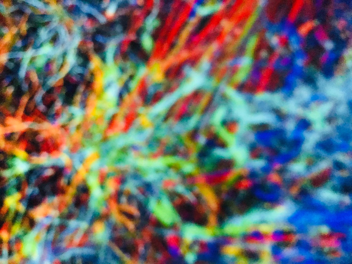 I thought, let’s have a break on science and let’s go for an art exhibition. So, I went to the Summer nights at the Fabrique des Lumières to see 
an immersive exhibition about Gustav Klimt, Goud en Kleurrijk.
Until I realised that I see neurons everywhere. 😂