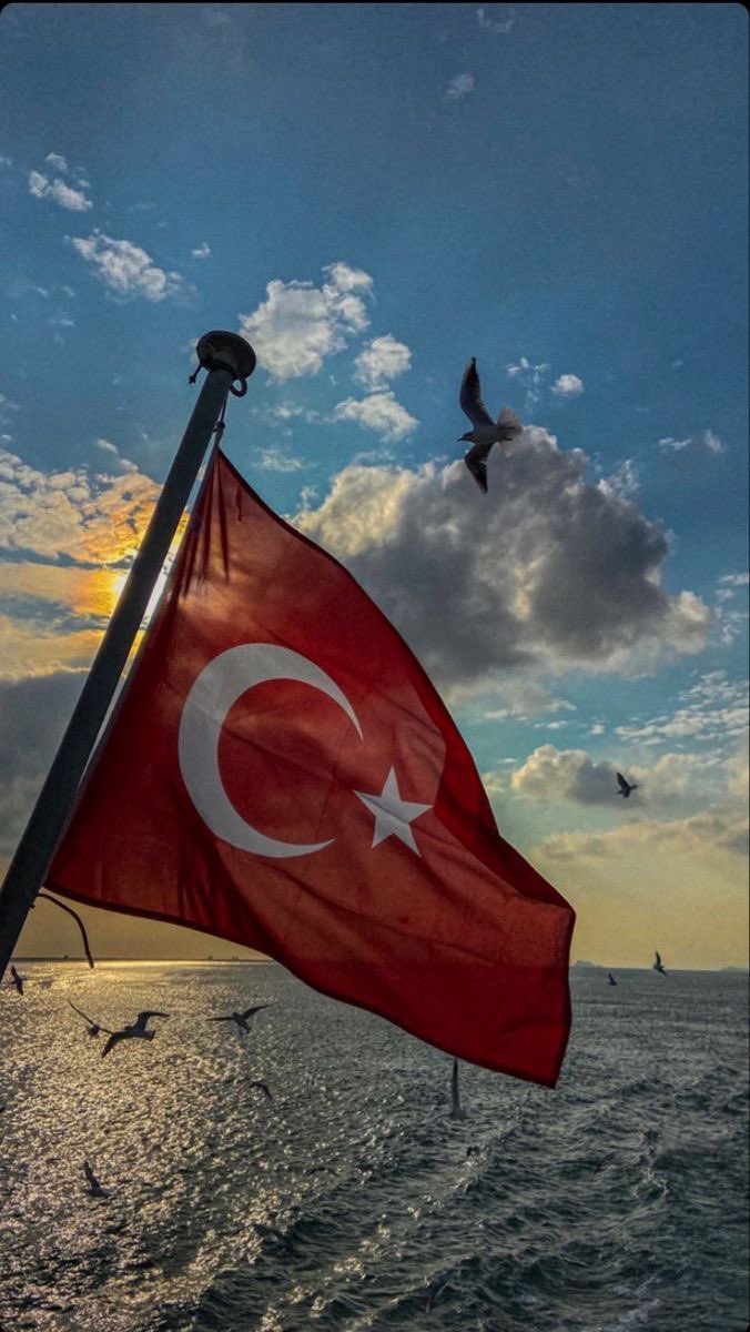 🇹🇷 #MilliTakip Listem #GeriTakip Sözündedir[ 3 ] @ekf_27 @hef_27 @son_G_3 @GunAna__ @1razdeli1 @AVurganer @GunAna__ @gercekci80 @KrmOzgur___ @aysegul_berk_ @1tanesi_gulun @Emirhan2565 @BuMagnoliaaa @aysehatun__27 @Mehmete_rt_hsp BİZ BİRLİKTE GÜÇLÜYÜZ