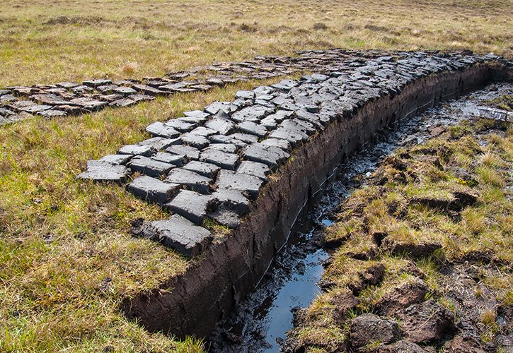 .@HTAnews reveals consequences of bringing peat ban forward insightdiy.co.uk/news/hta-study… #peat #peatban #horticulture #environmentalimpact #economicimpact #productavailability #gardening #gardencentres #growingmedia