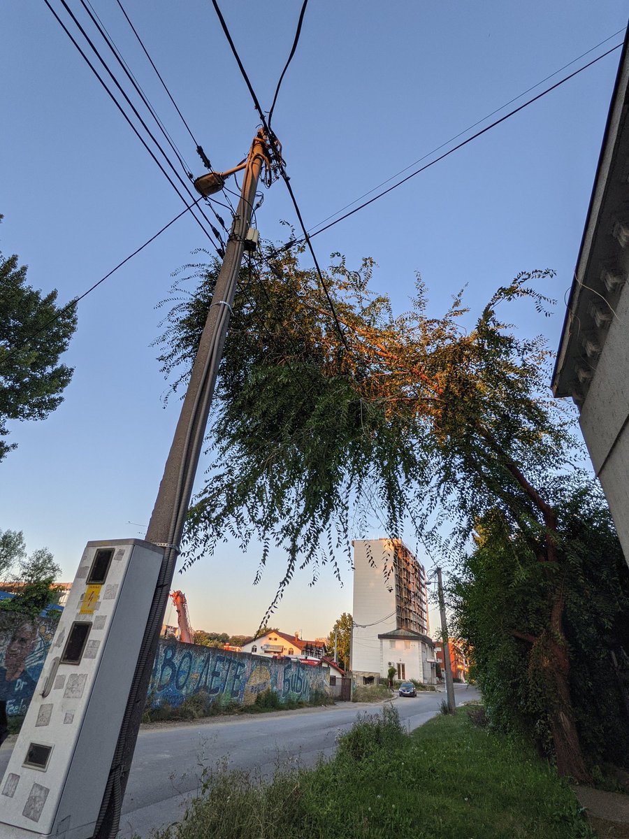 Ketvit's tweet photo. @prijaviproblem grane drveta na strujnim žicama u Tabanovačkoj. Zelenilo ne dolazi već 3 nedelje, zvali smo nekoliko puta. https://t.co/rOUoVmr2Gc