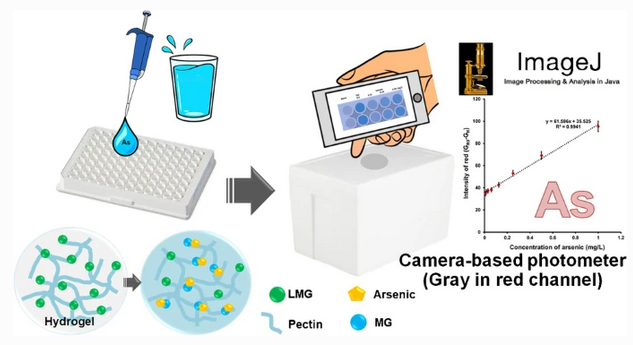 AnalBioanalChem's tweet image. Simple colorimetric assay using #pectin #hydrogel reagent coupled with camera-based photometry for trace #arsenic determination
by Suticha Chunta et al @psuconnext @PSUinter @agrocmu1 @cmuofficial_tw @UbonUniversity @UBU_Thailand #YoungInvestigators

link.springer.com/article/10.100…