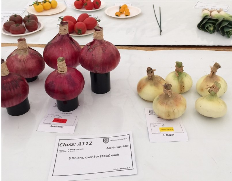 CSGGA's tweet image. Entered the competitions but new to showing?  You might want to check out our website for some simple guidance on how to choose, prepare and display your entries for the horticultural and floral art classes.  You'll find them in the News section. csgga.org