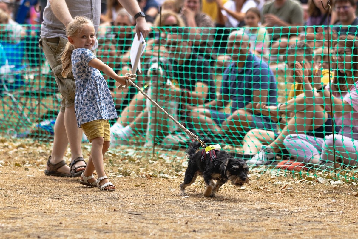 Lewisham Council tweet media