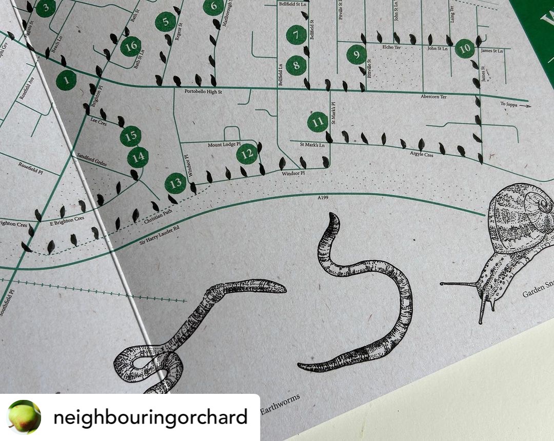 Join me in Portobello this Saturday 2nd September 2-4pm to launch the new Neighbouring Orchard Walking Maps designed by @David_Lemm. We'll visit some apple trees, hear some readings and have a nice meander! Book a free place here: eventbrite.co.uk/e/tree-walk-la… @artwalkporty