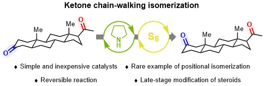 Bhawal Lab (@bhawallab) on Twitter photo Check our latest publication using simple pyrrolidine and sulfur to catalyse the isomerisation of ketones including complex steroids!
Awesome collaboration with Yannick <a href="/origree1/">Ori Green</a> and <a href="/morandilab/">Morandi Lab</a>
pubs.acs.org/doi/10.1021/ja…
<a href="/EdinburghChem/">Chemistry Edinburgh</a> Check our latest publication using simple pyrrolidine and sulfur to catalyse the isomerisation of ketones including complex steroids!
Awesome collaboration with Yannick <a href="/origree1/">Ori Green</a> and <a href="/morandilab/">Morandi Lab</a>
pubs.acs.org/doi/10.1021/ja…
<a href="/EdinburghChem/">Chemistry Edinburgh</a>