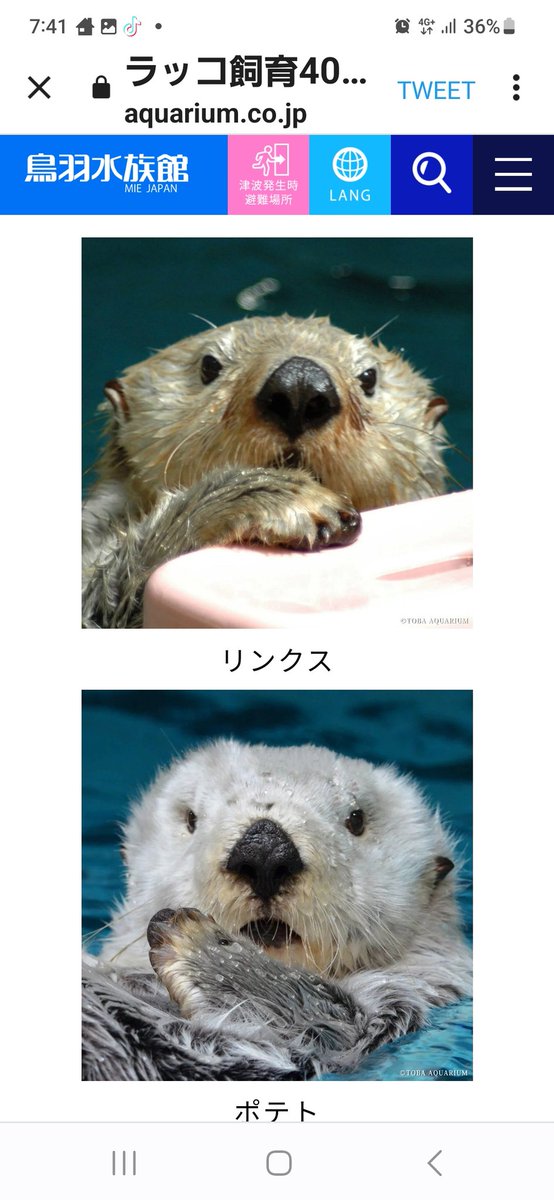 お知らせの内容に気を取られて気付かなかったけど、ホームページの写真