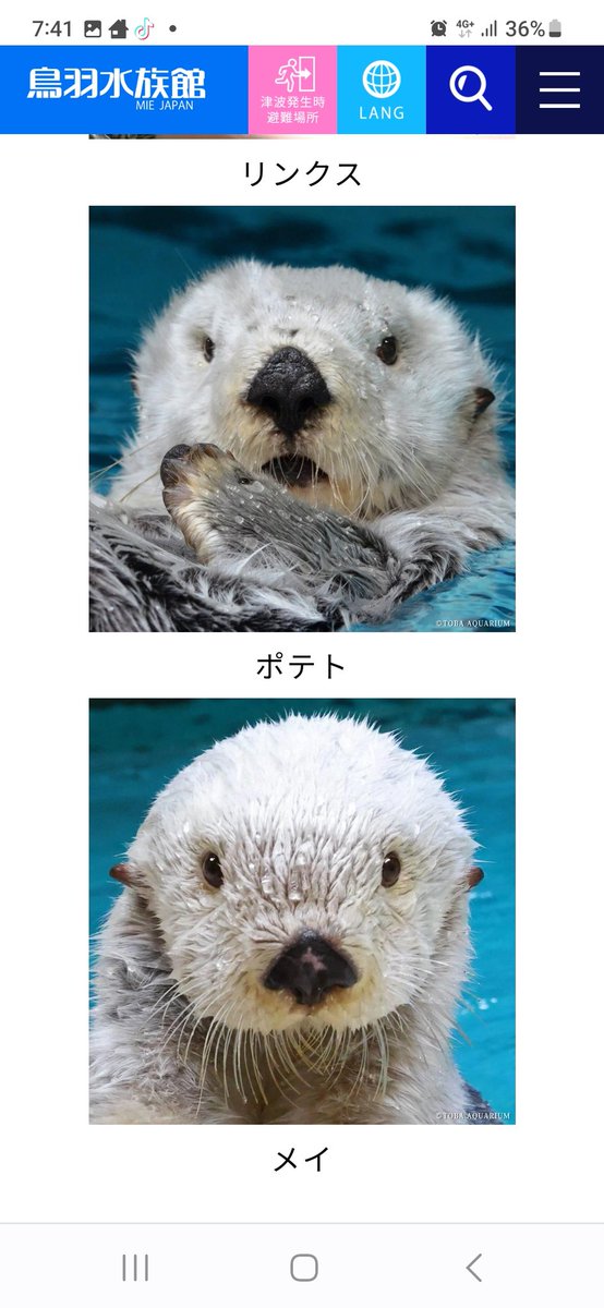 お知らせの内容に気を取られて気付かなかったけど、ホームページの写真