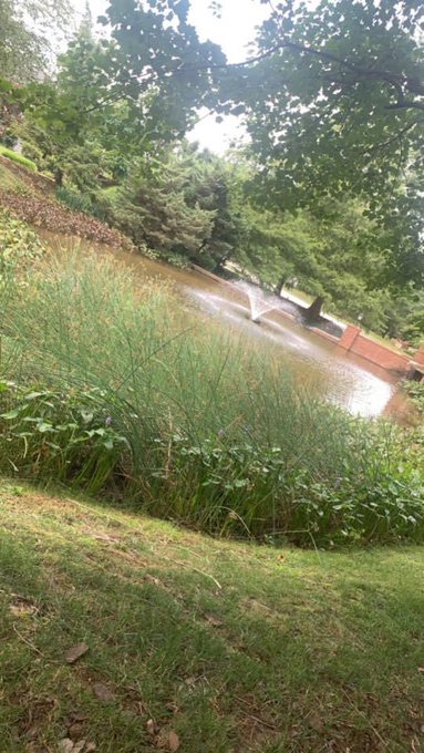 Smoke 💨 Good Fuck 💦Fuck Good 😶&zwj;🌫️ Play For Keeps 💯  No collaborator if u can&rsquo;t verfied ✅ https://t.c<a href="/tag/instagram"class="tags"><span>#instagram</span></a><a href="/tag/like"class="tags"><span>#like</span></a><a href="/tag/rt"class="tags"><span>#rt</span></a><a href="/tag/pornhub"class="tags"><span>#pornhub</span></a><a href="/tag/pov"class="tags"><span>#pov</span></a><a href="/tag/feetjob"class="tags"><span>#feetjob</span></a><a href="/tag/rate"class="tags"><span>#rate</span></a>