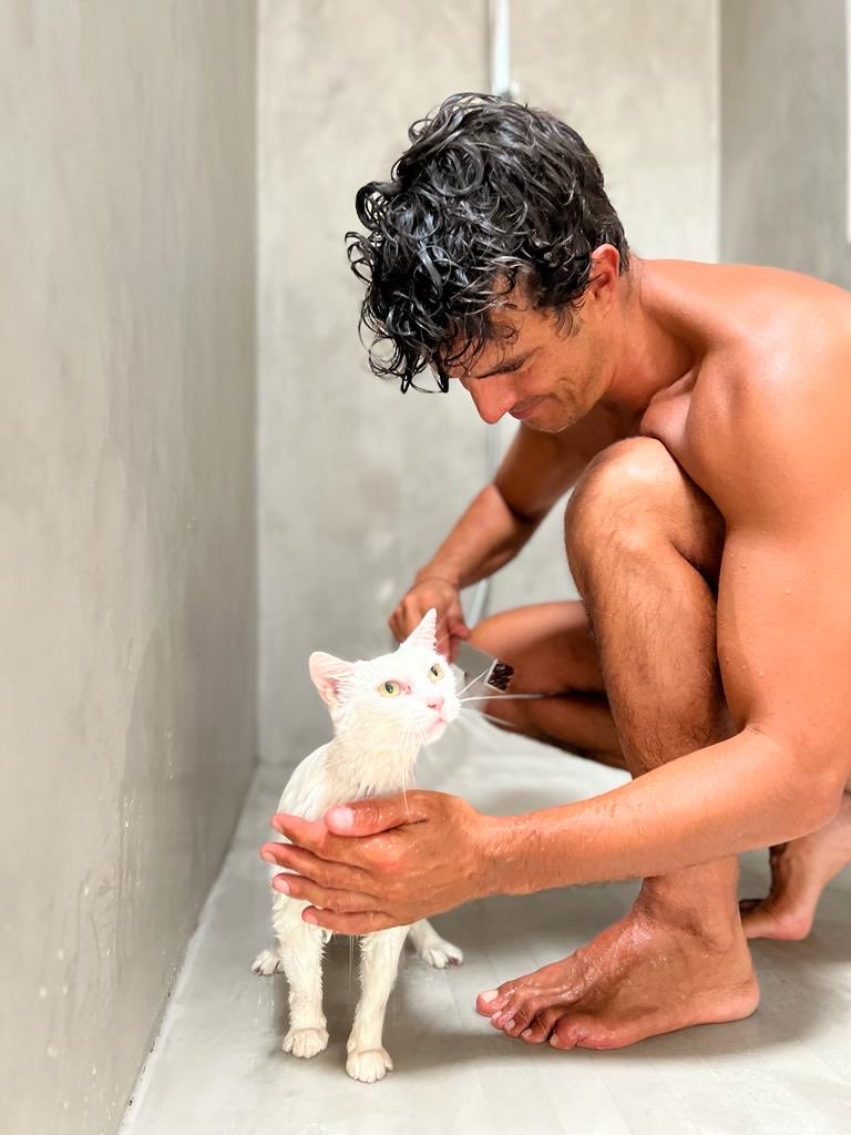 Y tan a gusto… 🩵 🐶 🐈 🩵 #Alma #Tico