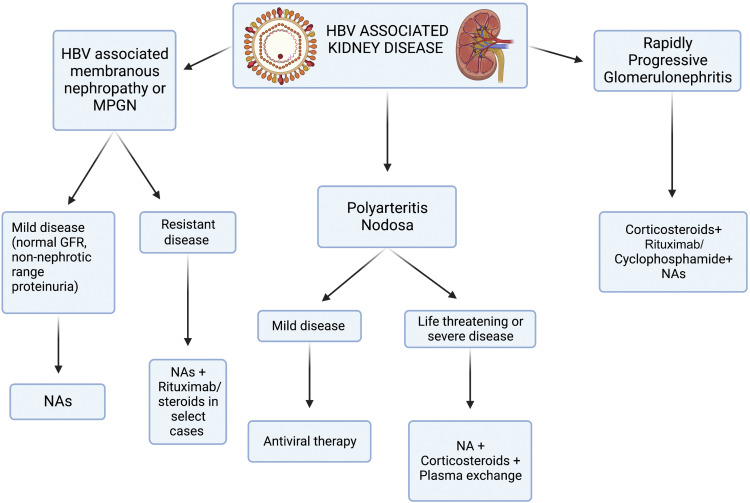 Management of Hepatitis C Virus and Hepatitis B Virus Infection in the Setting of Kidney Disease sciencedirect.com/science/articl… @purvasharma821 @MGHKidneys @akdhjournal @nkf