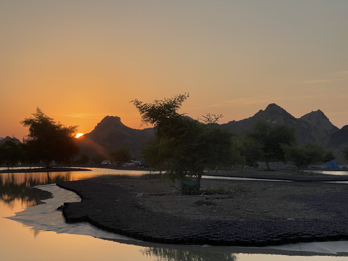 imran jamal tweet media