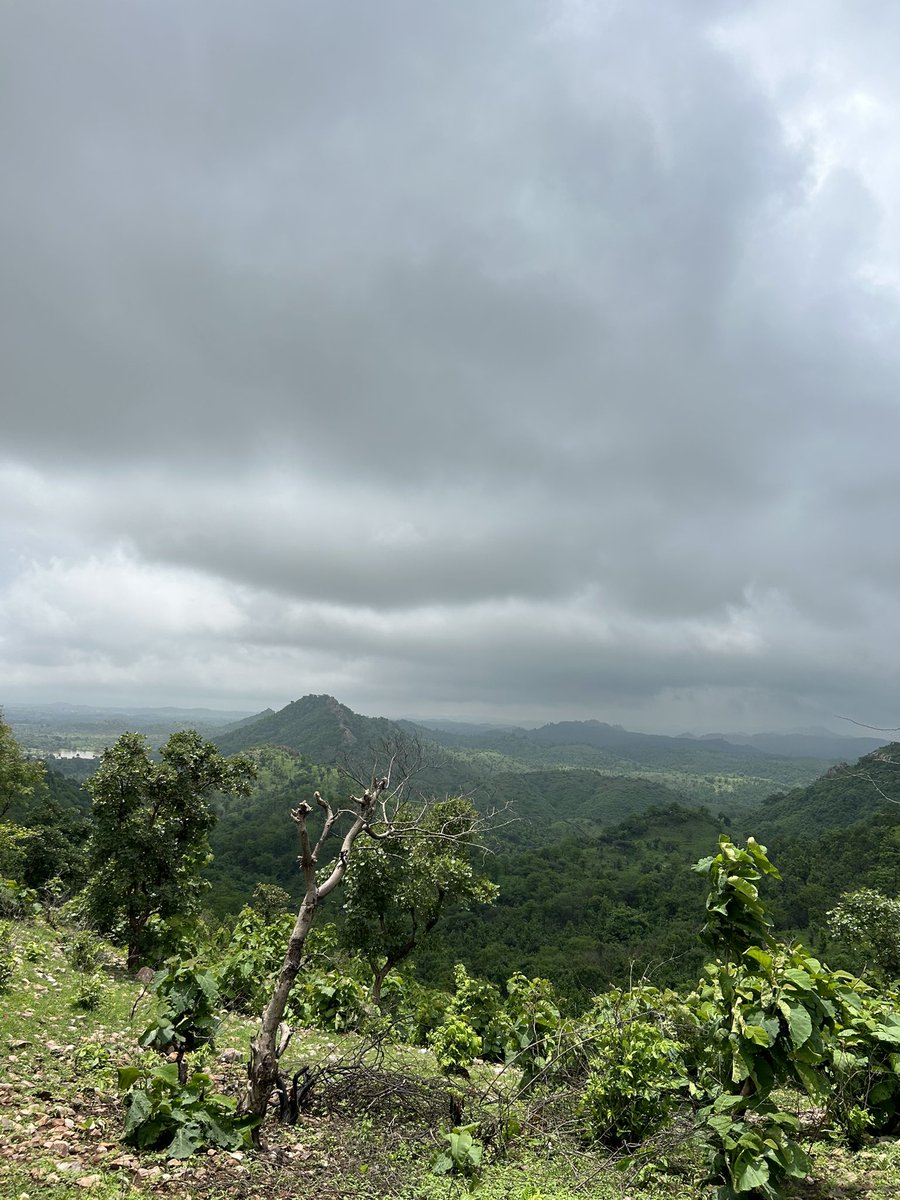 Rajasthan famous for its sand dunes, land of dessert. But it’s hard to believe these green mountains also in Rajasthan. 
#Geographical diversity of #Rajasthan. 
Adore, protect and visit real home billion lives.
#Rajasthan #ecotourism