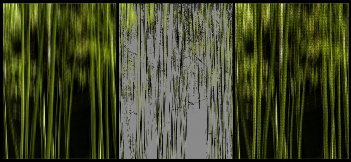 Bamboo Triptych Abstract. #withmytamron #abstract #abstractartist #bamboo #buyintoart #theartdistrict #macphotographynj #bobmac27