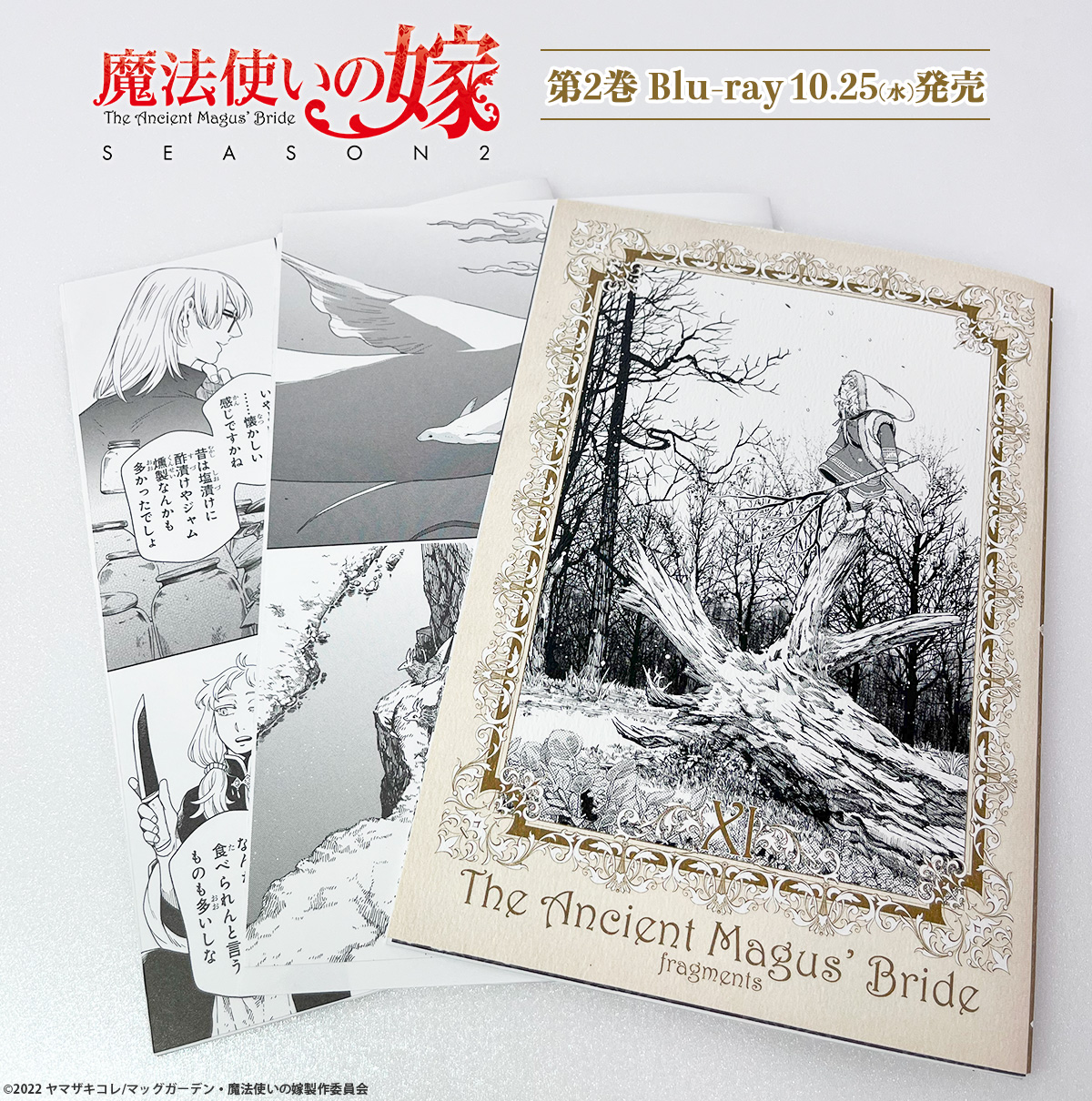 【楽天カード分割】 アニメ「魔法使いの嫁」公式 on X:  青年漫画