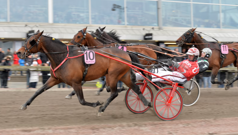 PerPegLizton's tweet photo. På söndag gör L.L.Royal sin 23:e raka V75-start.
Imponerande, men han har en bit kvar till rekordet på 69 raka...
#harryhaythrow https://t.co/PKqYSkgCzu