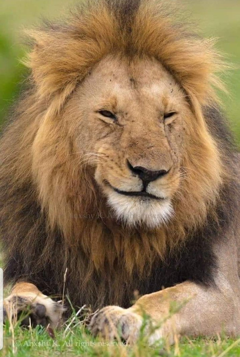 حالتي هذه الايام