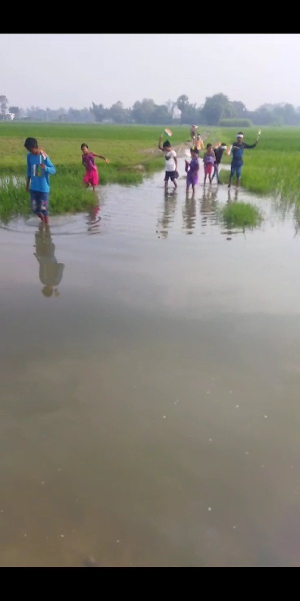 RAMAVTA23180796's tweet photo. आदरणीय जिलाधिकारी महोदया यदि आप प्राथमिक विद्यालय जबरापार पर आएगी तो आपकी रूह कांप जाएगी बच्चे और शिक्षक कैसे जायेगे। कृपया निदान करने की कृपा करें। https://t.co/BttLexh2FN