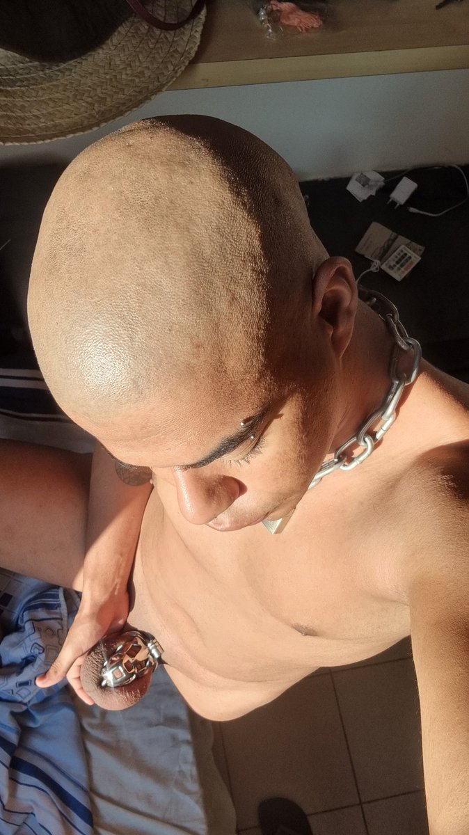 LSBRsproperty's tweet photo. Morninnn y'all ๐๐
This sun is bless my bald head ๐ฅต๐ฅต
๐ by @MestreCruel
#teamlocked #lockedslave #lockedsub #lockedguy #baldhead #baldslave #baldsub #shavedhead #smoothhead https://t.co/JZQiKaJPLE