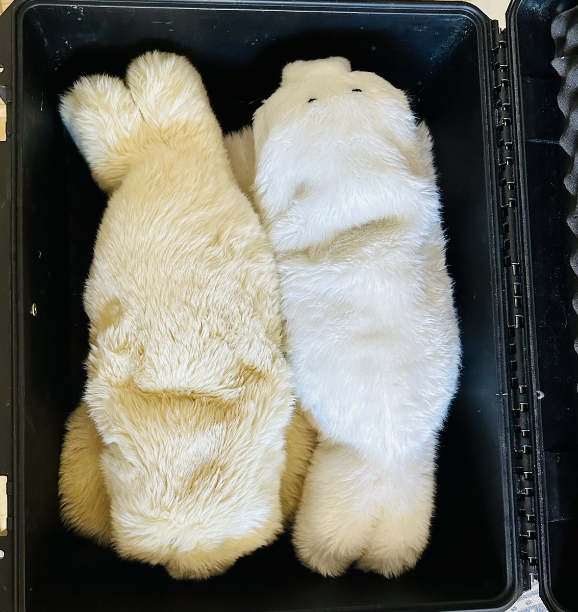 Casual Robots (@casualrobots) on Twitter photo 