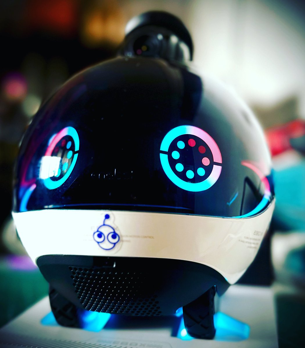 Casual Robots (@casualrobots) on Twitter photo 