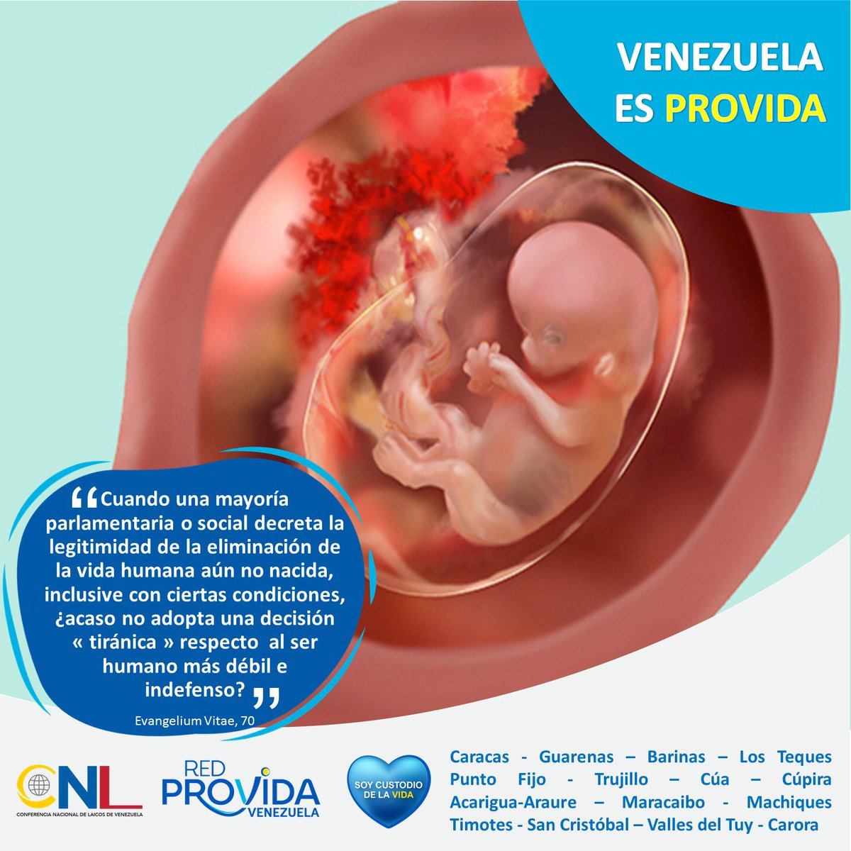 ProvidaGuarenas's tweet photo. Venezuela es Provida https://t.co/oCj4xpk8en