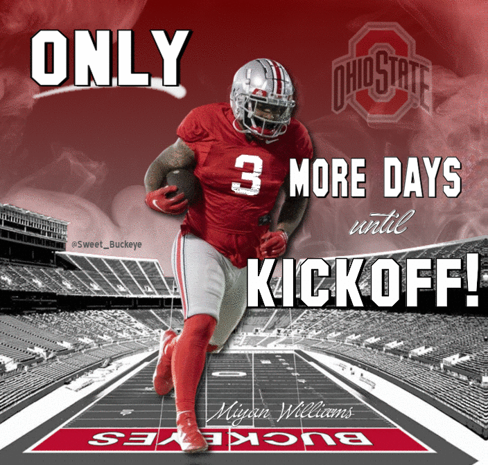SusanSweet44's tweet photo. So close Buckeye Nation can almost taste it!
#GoBucks #OhioState #Buckeyes #ThreeToGo https://t.co/LFjoEuPqj3