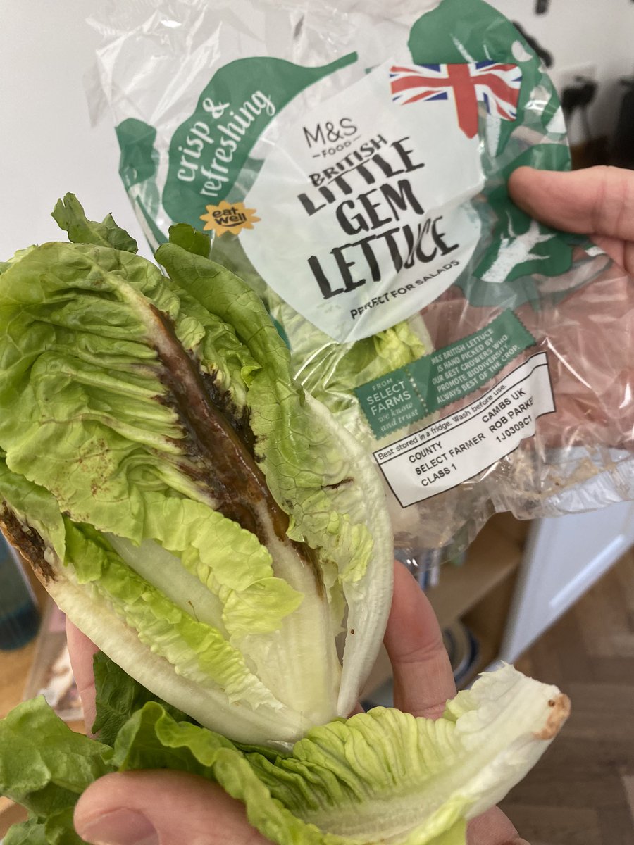 RebeccaVarty's tweet photo. @marksandspencer literally just bought this in store. https://t.co/0cUE9Ea75S