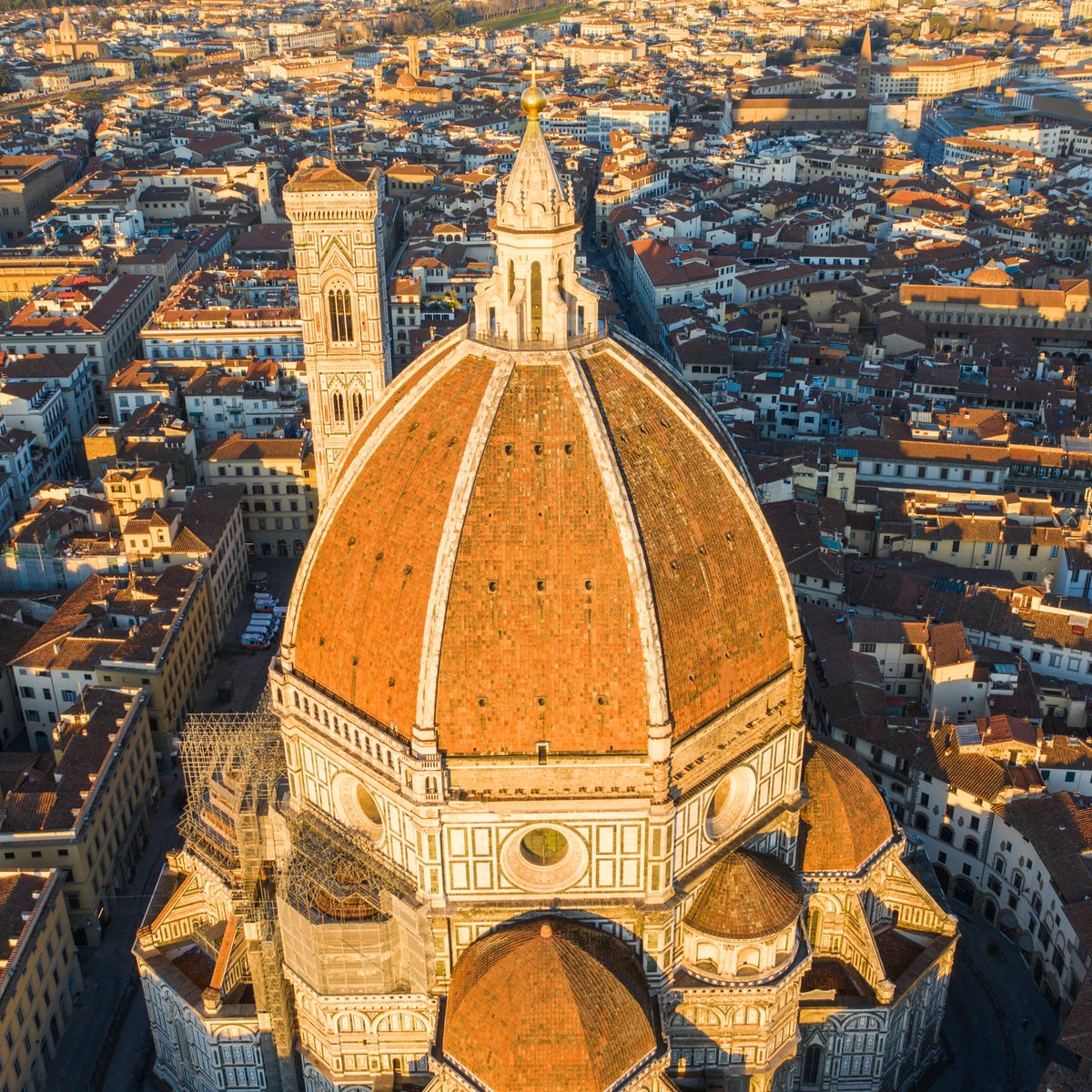 Oggi la #CupoladiBrunelleschi compie 587 anni: 

Questo è un giorno di festa non solo per l’#OperadiSantaMariadelFiore e per #Firenze ma per chiunque ami la #bellezza, non credete? 

duomo.firenze.it/it/opera-magaz…

#AccaddeOggi #30Agosto