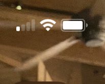 Louise Martin tweet media