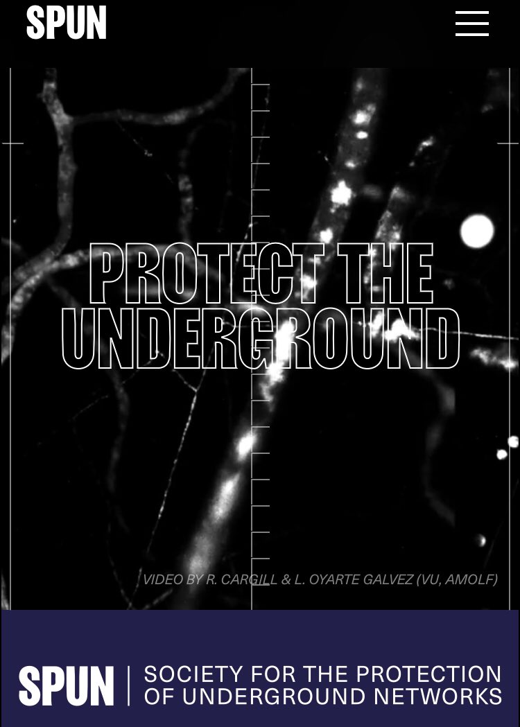 University of Miami BGSO tweet media