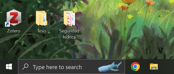 Estradictive's tweet photo. Por alguna razón mi buscador se configuró automáticamente con un tiburón ballena y me gusta... :D https://t.co/GizcLdachs