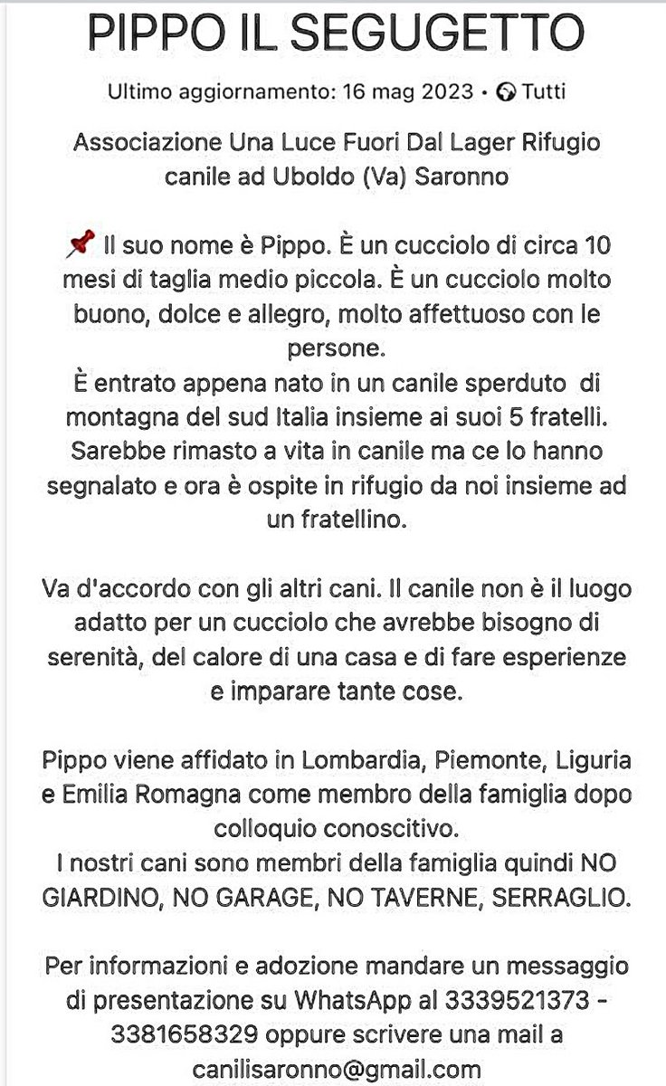 pattyfra1's tweet photo. - Rifugio ad Uboldo (Va) Saronno

🆘PIPPO CERCA SEMPRE CASA🆘
È stato mandato al nord con tanta speranza nel cuore ma, dopo 1 anno, è sempre al Rifugio! 
Nessuno chiama per lui😔
⏩️Tutte le INFO e i CONTATTI nel box scritto ⤵️
#pippo #canicercacasa 🙏🆘🏡🐾❤️ https://t.co/r3yJ0aaEvH