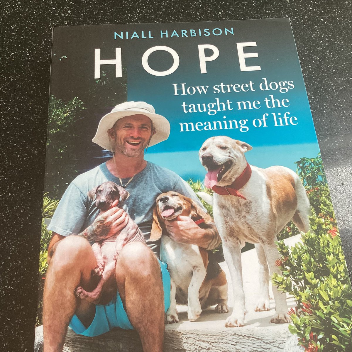 Bridinbc's tweet photo. Just when I needed it  Hope arrived in the post and there’s McMuffin, King Whacker of Scotland and gorgeous Rodney beaming on the cover. Looks fab @NiallHarbison well done 👏 and thanks for all you do for the dogs! https://t.co/TcEuSvmQJM