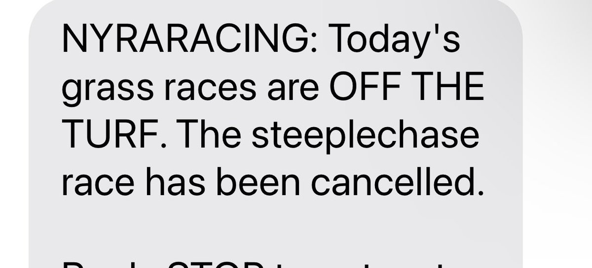 Spa Infield Goose tweet media