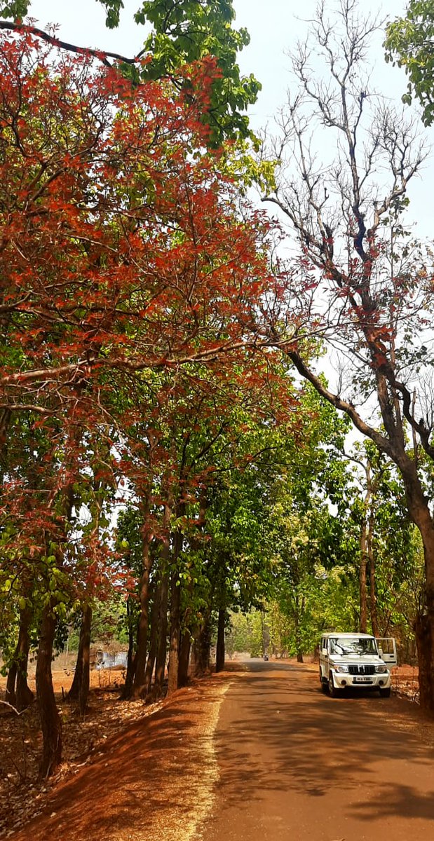 Manasdht's tweet photo. Joda &amp; Barbil, land of scenic beauty, can be turned into amazing tourist places. #nature #holiday #ଓଡିଶା #Odisha @CMO_Odisha @MoSarkar5T @DistAdmKeonjhar @TourismDptt https://t.co/Dkk5c4TlA5