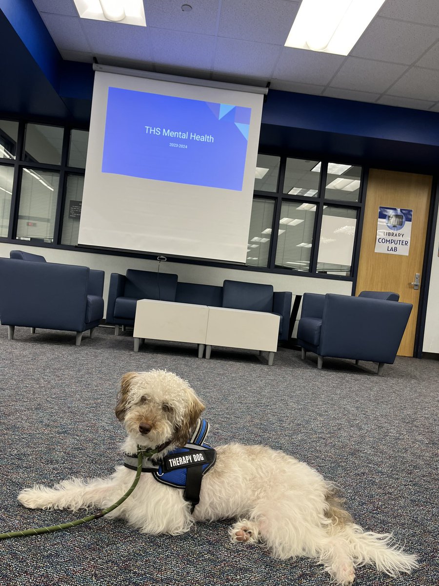 alicia leung tweet media