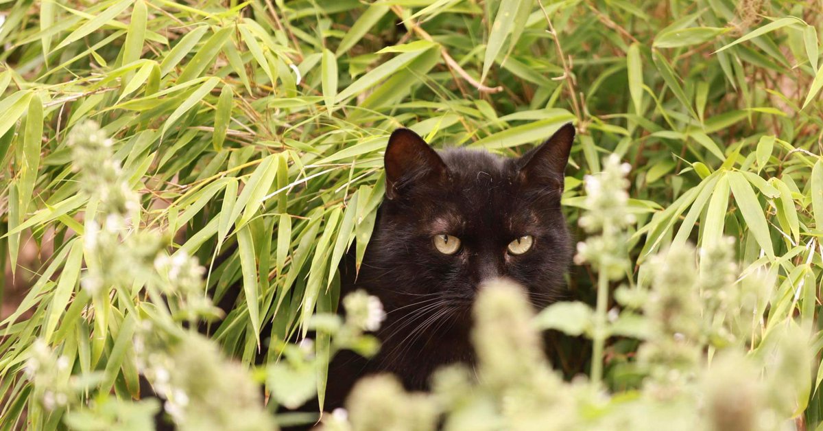 Annie SINKO (@anniesinko) on Twitter photo 